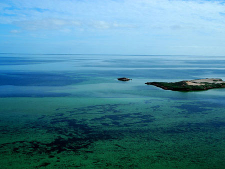 eagle-bluff-shark-bay