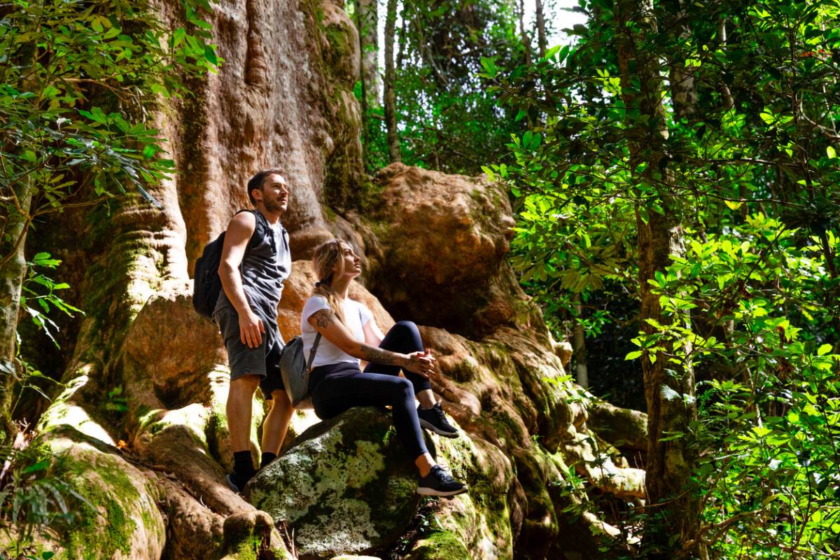 Australie, au cœur de l'aventure