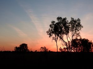 nord de l'australie
