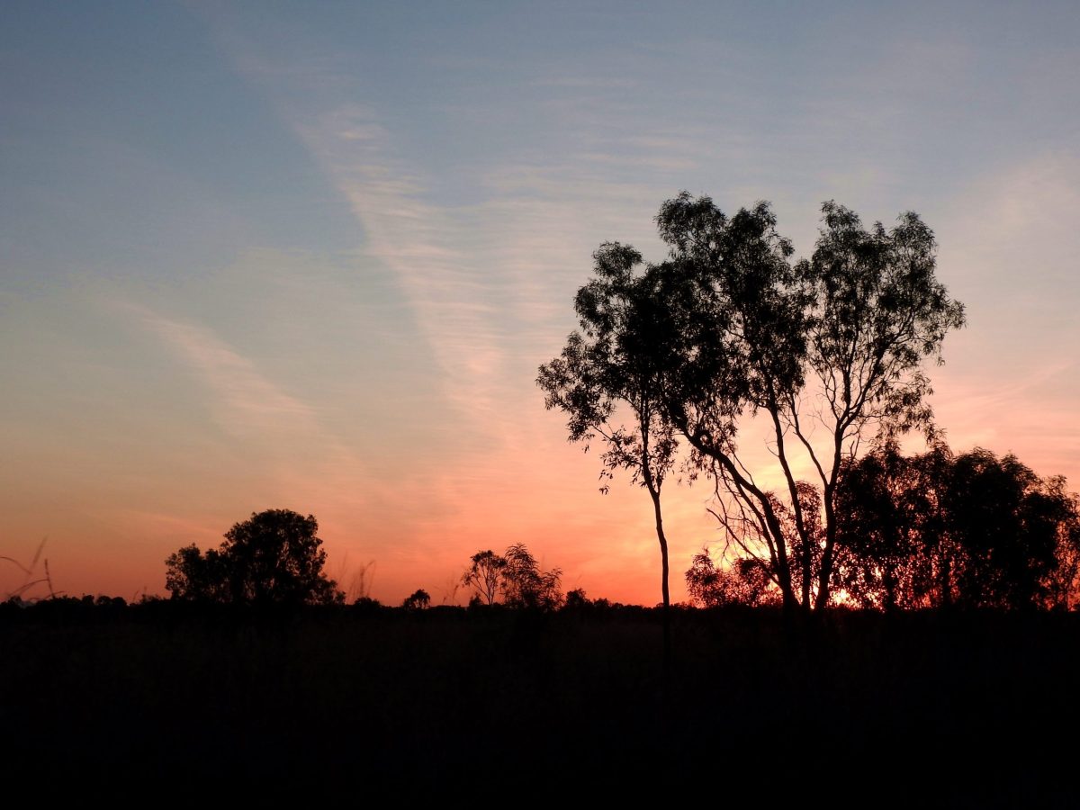 Découverte du nord de l’Australie : que faut-il anticiper ?